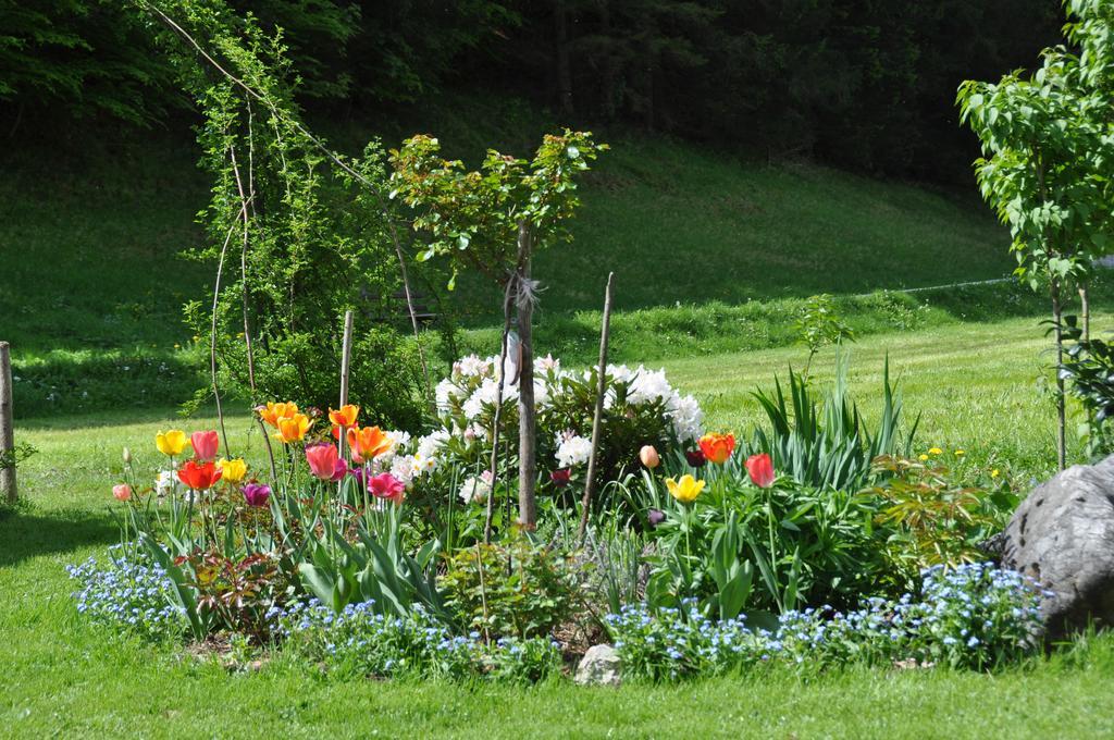 Ferienwohnung Dichtlbauer Sankt Gilgen Esterno foto